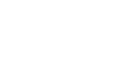 Need For Spin logo