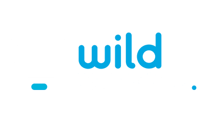 WildTornado Casino logo