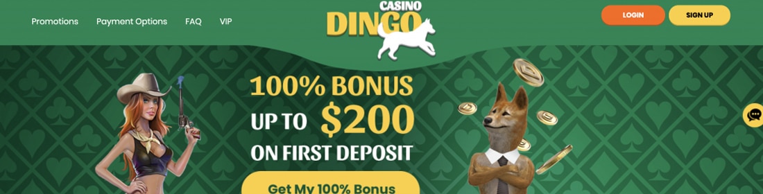 casino dingo