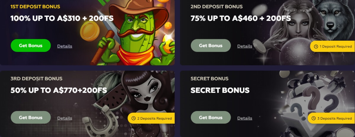 Playfina Casino Bonus